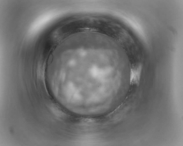 X0000115490195200911271356