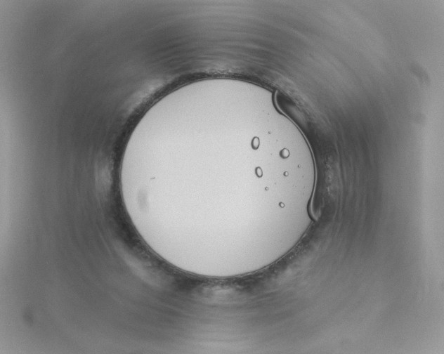 X0000115490208200911271355