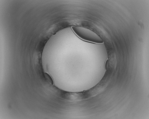 X0000115490229200911271355