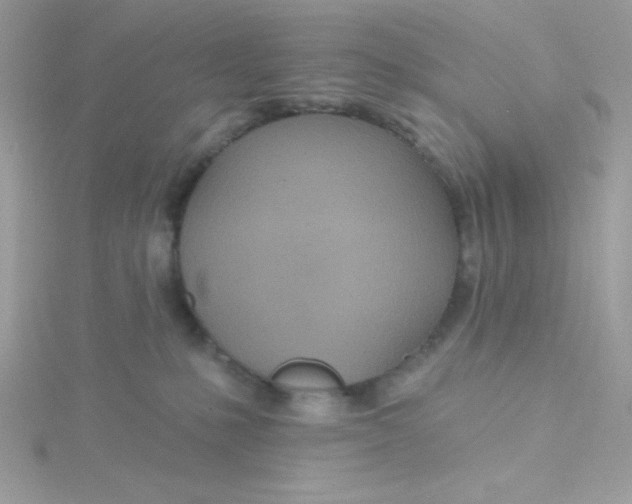 X0000115490231200911271355