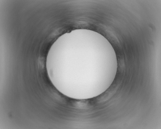 X0000115490232200911271355