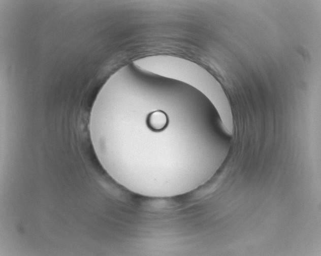 X0000115490237200911271355