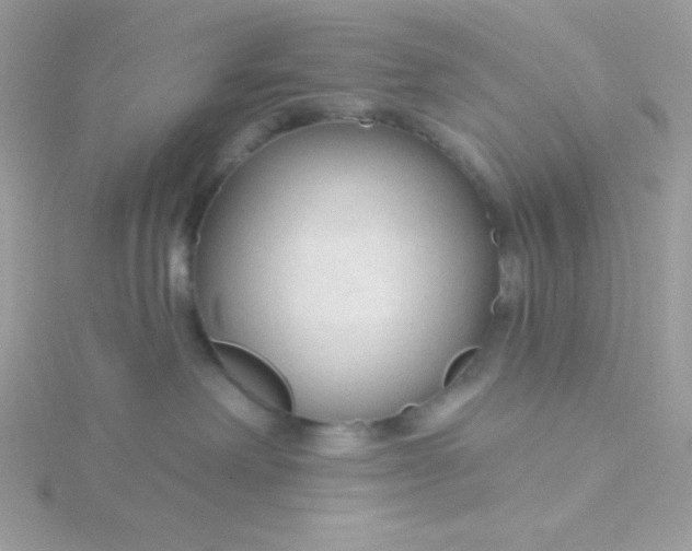 X0000115490238200911271355