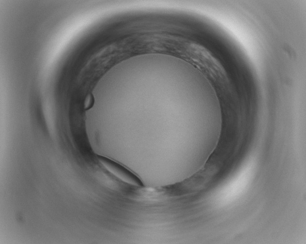 X0000115490239200911271355