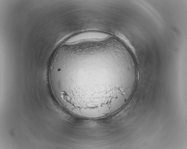 X0000115490249200911271355