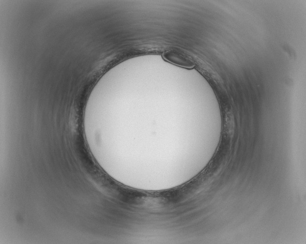 X0000115490255200911271355