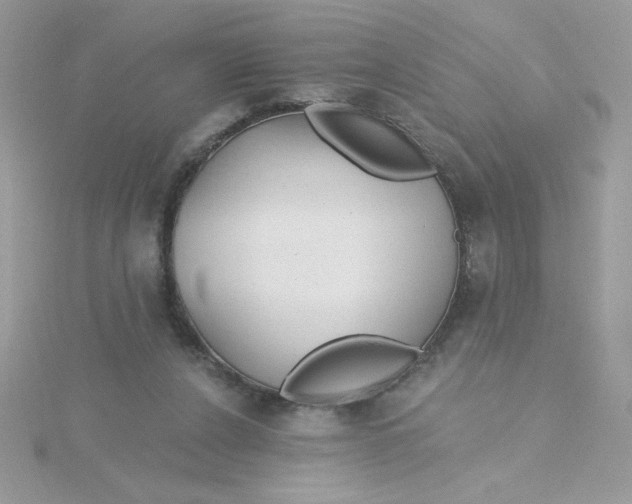 X0000115490256200911271355