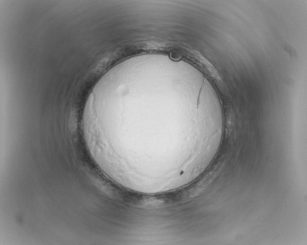 X0000115490257200911271355