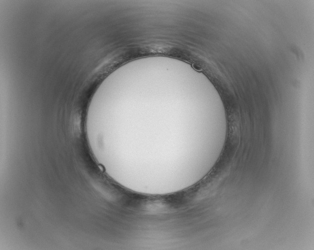 X0000115490262200911271355