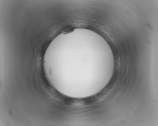 X0000115490263200911271355