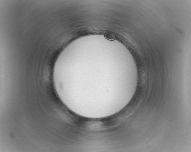 X0000115490266200911271355