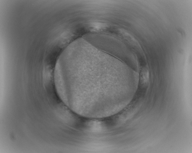 X0000115490276200911271355