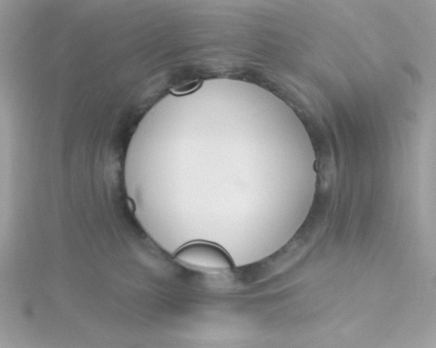 X0000115490279200911271355