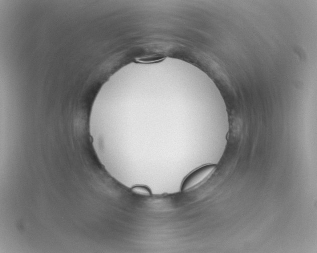 X0000115490283200911271355