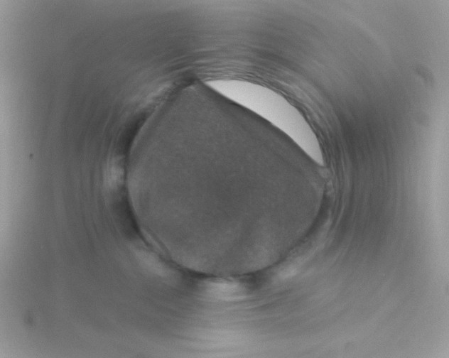 X0000115490284200911271355