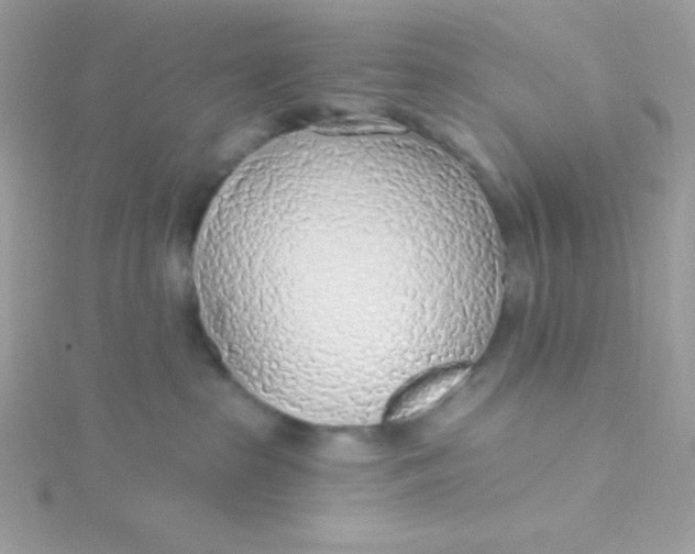 X0000115490285200911271355