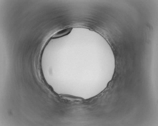 X0000115490289200911271354