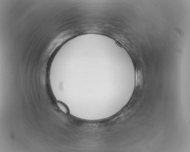 X0000115490291200911271354