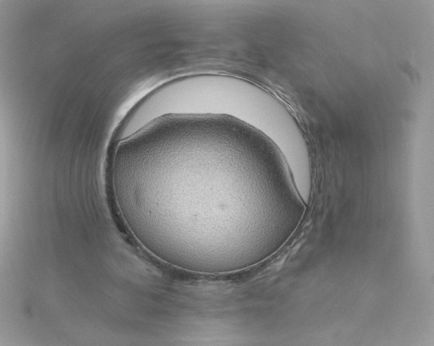 X0000115490292200911271354
