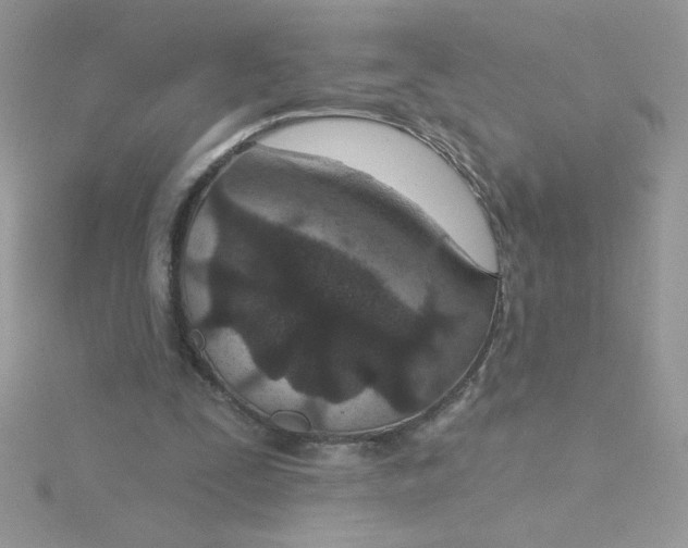 X0000115490295200911271354