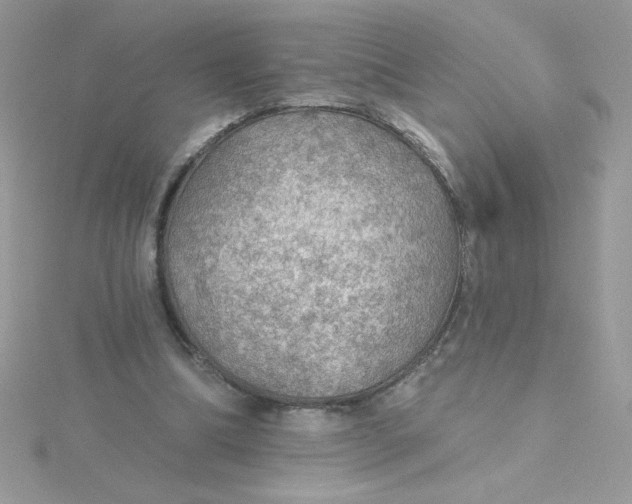 X0000115490298200911271354