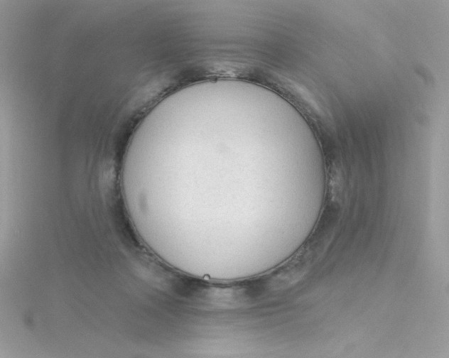 X0000115490314200911271354