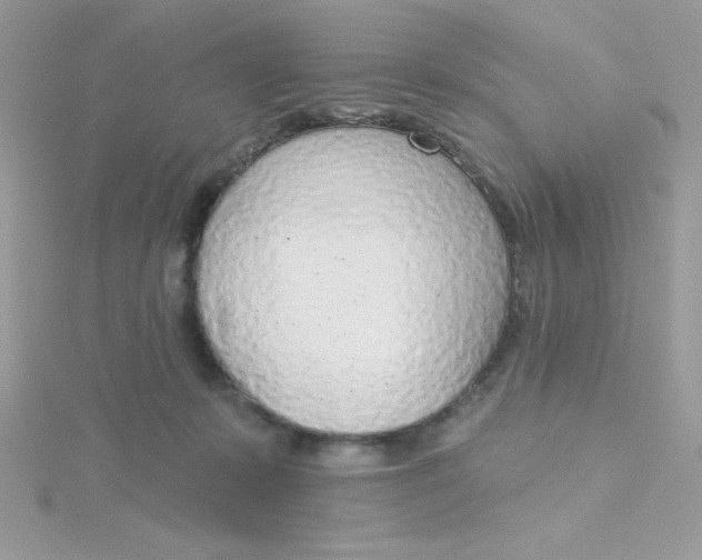 X0000115490319200911271354