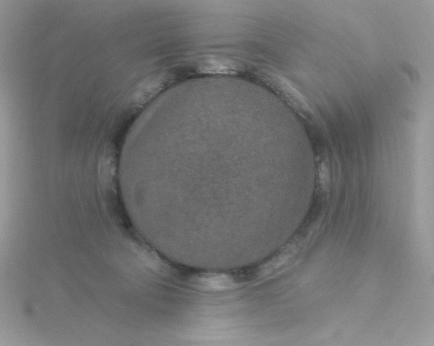 X0000115490322200911271354