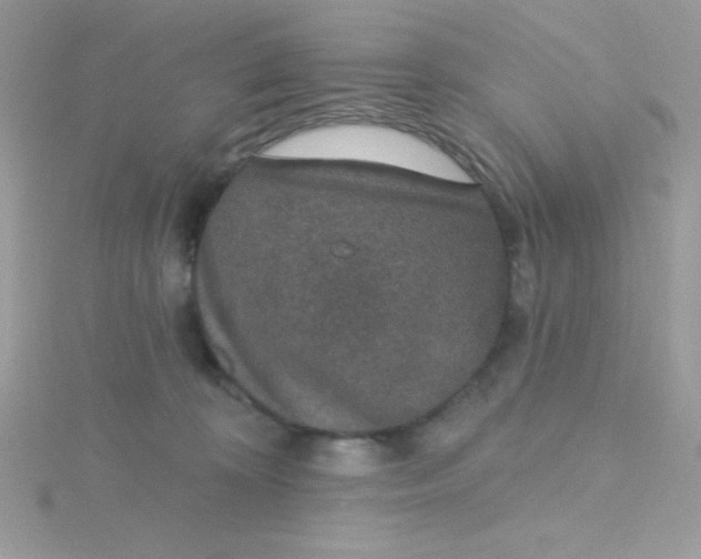 X0000115490324200911271354