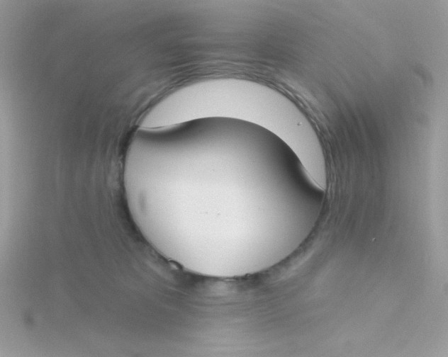 X0000115490325200911271354