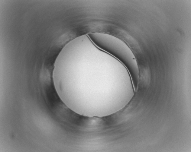 X0000115490333200911271354