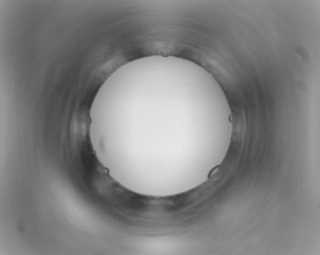 X0000115490334200911271354