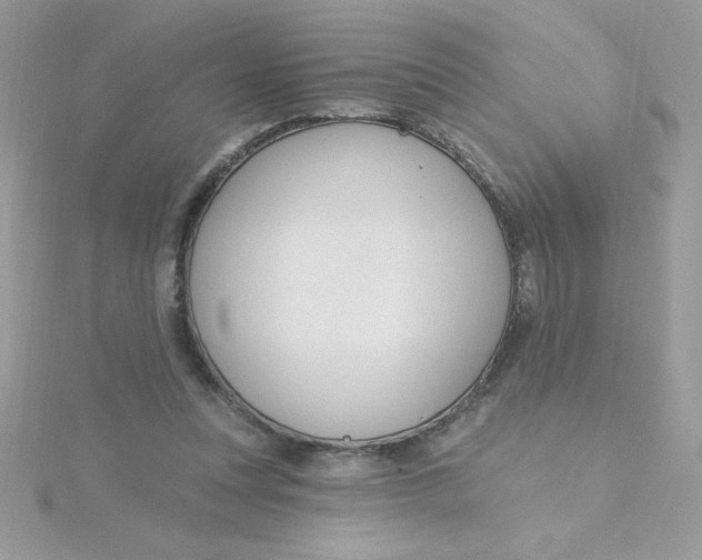 X0000115490351200911271353