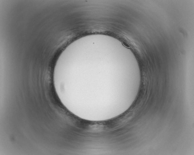 X0000115490362200911271354