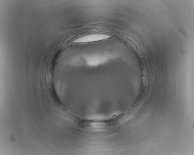 X0000115490371200911271354