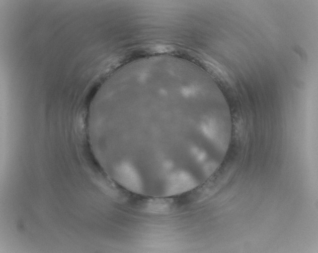 X0000115490373200911271354