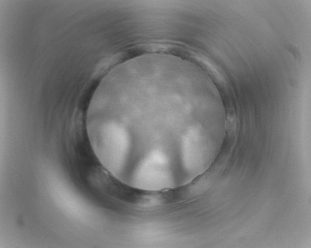 X0000115490381200911271354