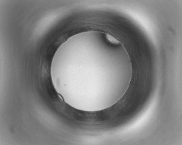 X0000115490382200911271354
