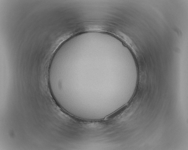 X0000115490385200911271353