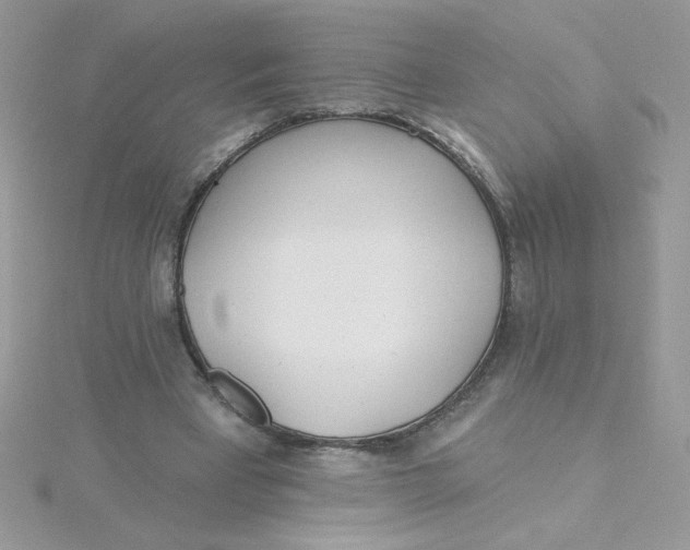 X0000115490393200911271353