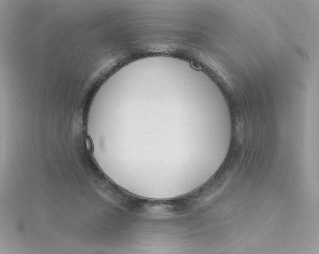 X0000115490407200911271353