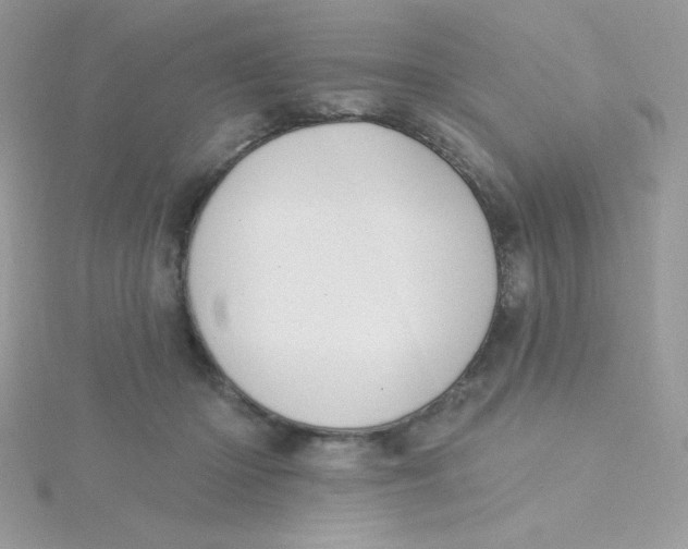 X0000115490414200911271353
