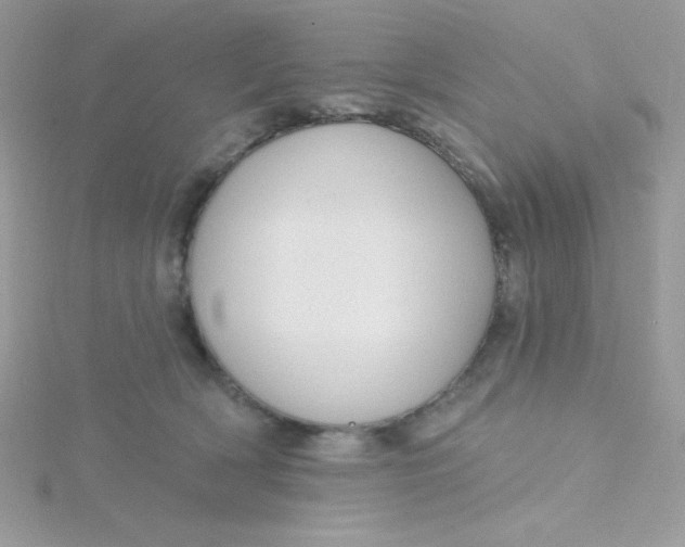 X0000115490418200911271353