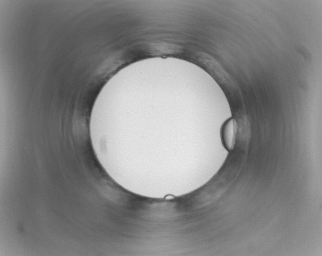X0000115490426200911271352