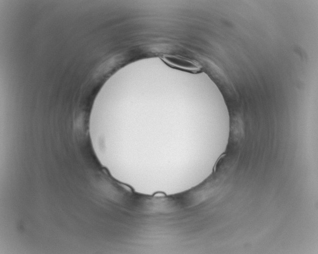 X0000115490428200911271352