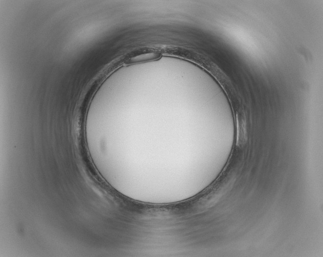 X0000115490435200911271352