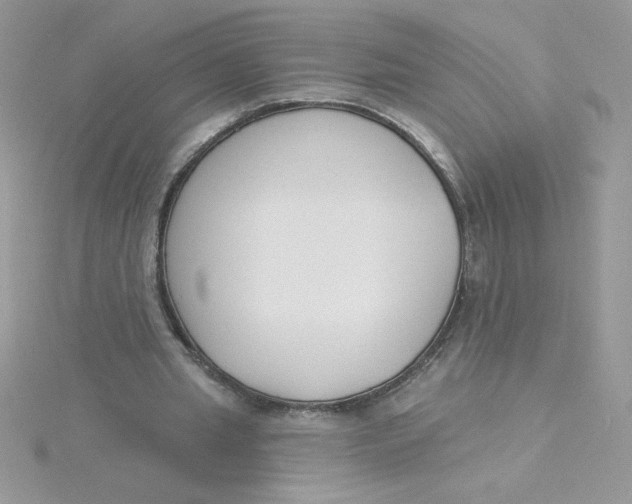 X0000115490437200911271352