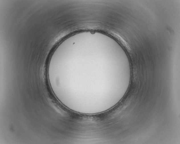 X0000115490439200911271352