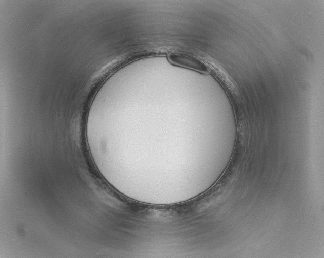 X0000115490442200911271352