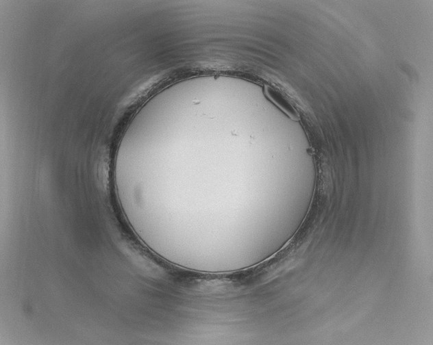 X0000115490446200911271352
